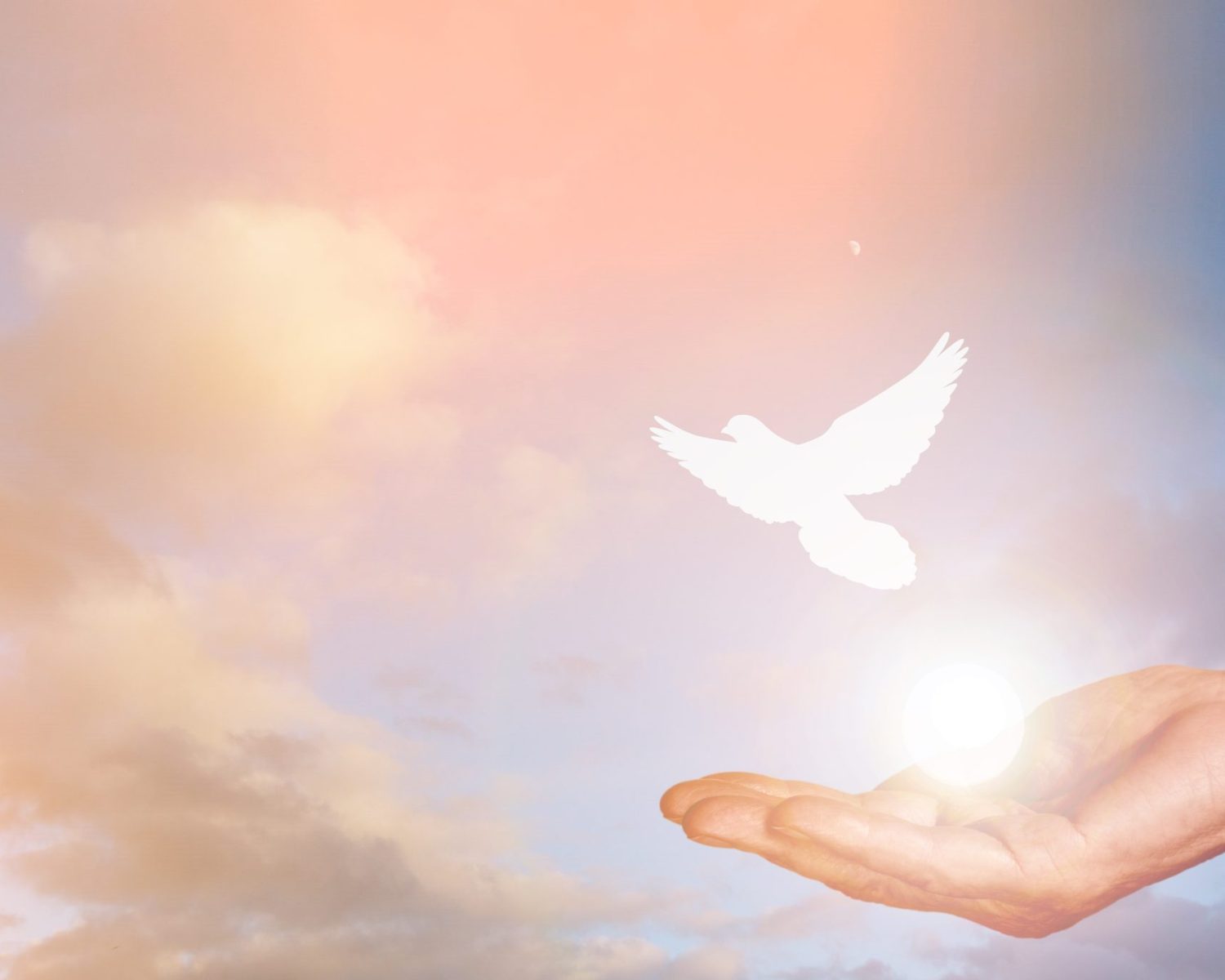 Woman and free bird on sky background